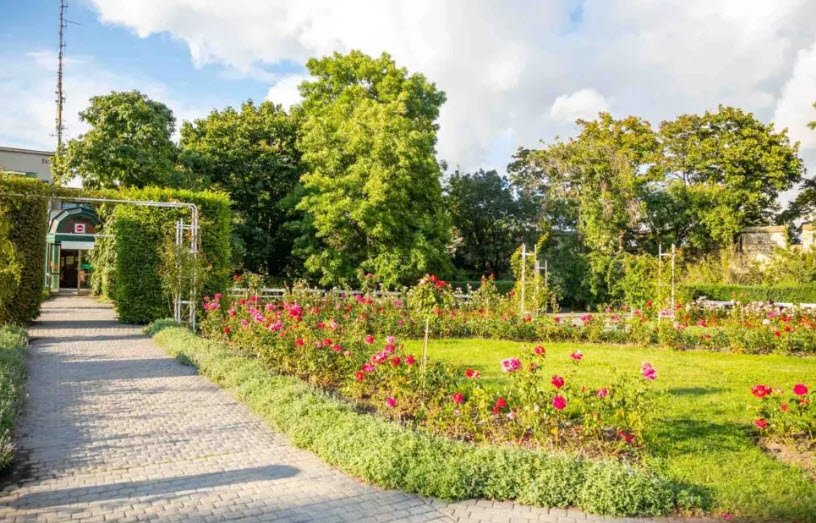 New Campus Botanical Garden, University of Punjab, Lahore, Lahore, Pakistan, Pakistan